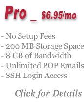 web hosting pro