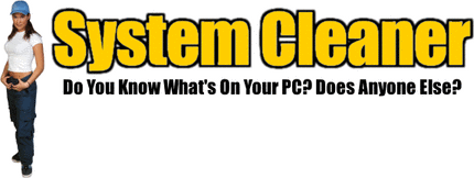 system cleaner pixelroad web hosting